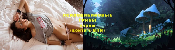 MESCALINE Горно-Алтайск
