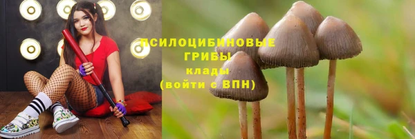 бутират Горнозаводск