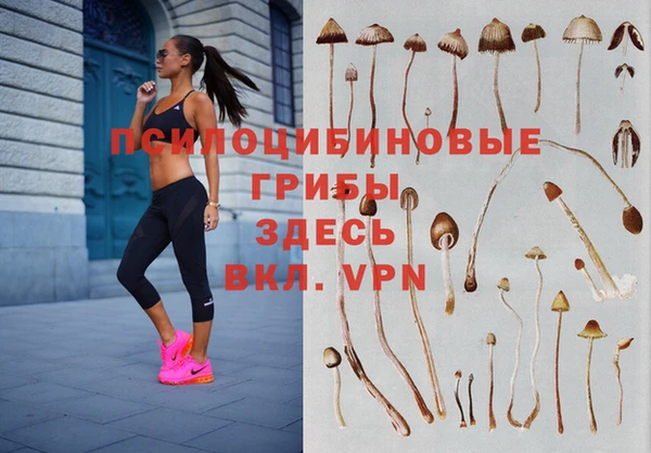 бутират Горнозаводск