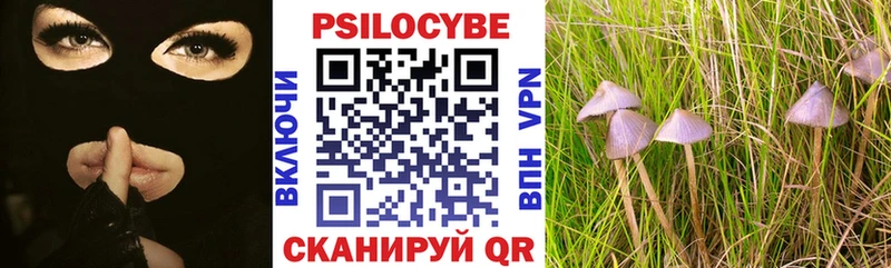 где найти   mega ТОР  Галлюциногенные грибы GOLDEN TEACHER  Курск 